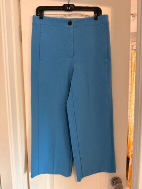 Ann Taylor Wide Leg Cropped Sky Blue Trousers